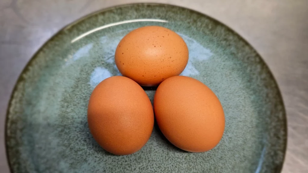 Œufs bio plein air de la ferme Les Picorettes de Bitry (Nièvre), producteurs locaux partenaires de La Nouvelle Table.